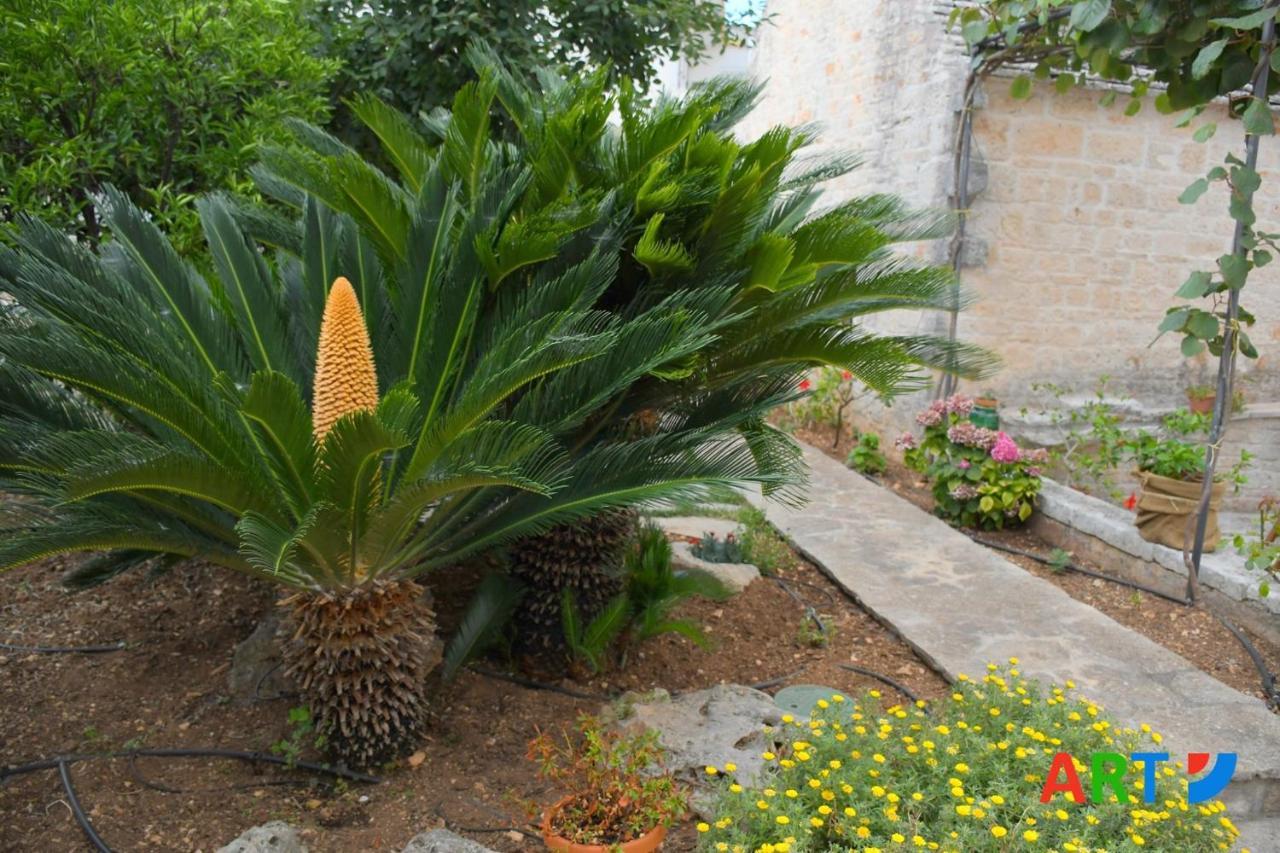 Trullo Al Vicoletto Al Civico 10, Civico 8, Civico 7 Villa Alberobello Luaran gambar