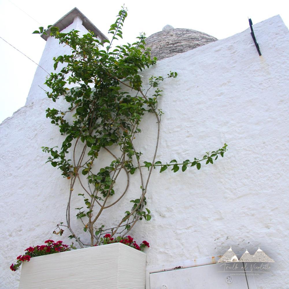 Trullo Al Vicoletto Al Civico 10, Civico 8, Civico 7 Villa Alberobello Luaran gambar